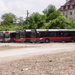 bécs-080524-busz (37)