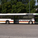 busz (01)