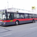 busz (10)