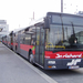 busz (29)