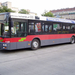 busz (24)