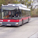 busz (5)