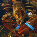 lobster-underwater-maine-xl (Medium)