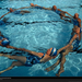 synchronized-swimming-california-507355-xl (Medium)