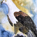 eagle bird painting small