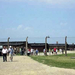 Auschwitz-Birkenau15