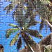 Puzzle. Tropical Paradise - részlet
