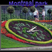 Montreal park.001