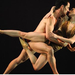 ballet wideweb  470x347,0