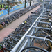 amsterdam bikes (Medium)