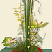 Creative-Ikebana Style - Rumi Rice - Anthirium Orchid (Medium)