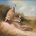 red legged partridges (Medium)