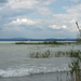 balaton2008+ 175