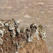 Vulkanikus kőzet a Vezúv tetején
