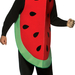 7100-Adult-Watermelon-Slice-Costume-large