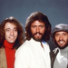 bee gees (13)