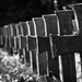 katonai temető IX