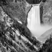 Yellowstone Falls III