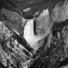 Yellowstone Falls I